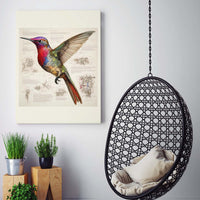Thumbnail for Drawings Hummingbirds 07 Da Vinci Style Vintage Framed Canvas Prints Wall Art Hanging Home Decor