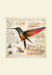 Thumbnail for Drawings Hummingbirds 09 Da Vinci Style Vintage Framed Canvas Prints Wall Art Hanging Home Decor