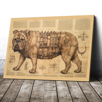 Thumbnail for Drawings English Bulldog 03 Da Vinci Style Vintage Framed Canvas Prints Wall Art Hanging Home Decor