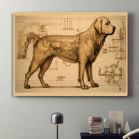Thumbnail for Drawings Golden Retriever 02 Dog Da Vinci Style Vintage Framed Canvas Prints Wall Art Hanging Home Decor