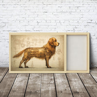 Thumbnail for Drawings Golden Retriever 03 Dog Da Vinci Style Vintage Framed Canvas Prints Wall Art Hanging Home Decor