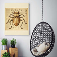 Thumbnail for Drawings Beetle 02 Da Vinci Style Vintage Framed Canvas Prints Wall Art Hanging Home Decor