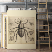 Thumbnail for Drawings Beetle 03 Da Vinci Style Vintage Framed Canvas Prints Wall Art Hanging Home Decor