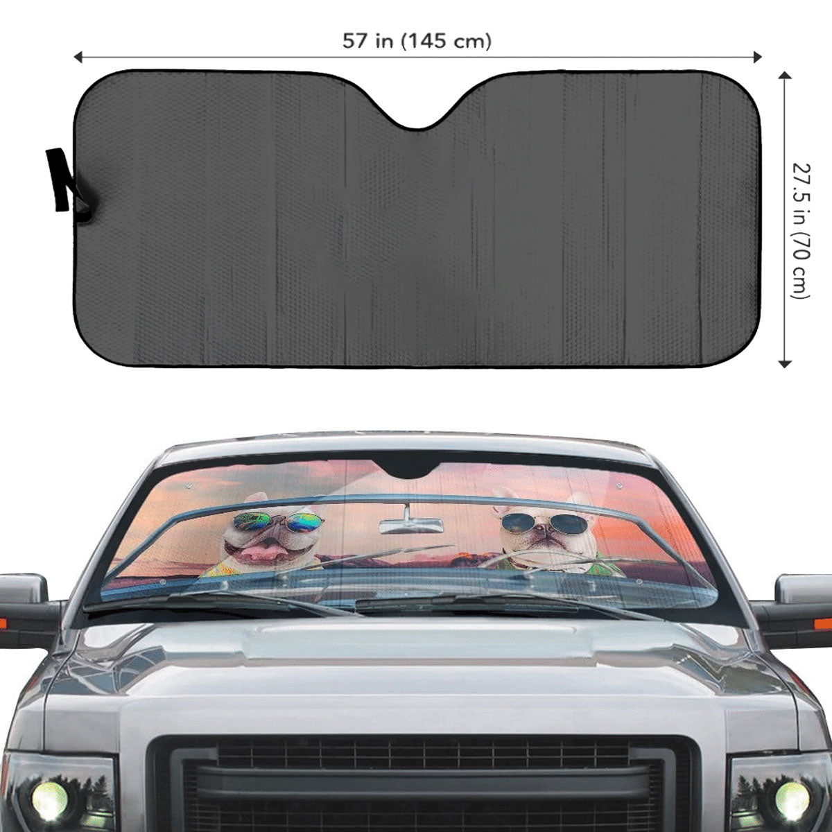 Funny car sunshade -  France